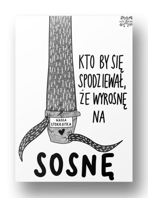 Plakat A3 "Kto by się spodziewał (Sosna)" Plakat A3 "Kto by się spodziewał (Sosna)"